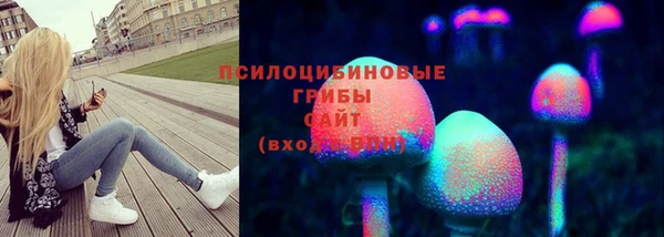 шишки Алексин