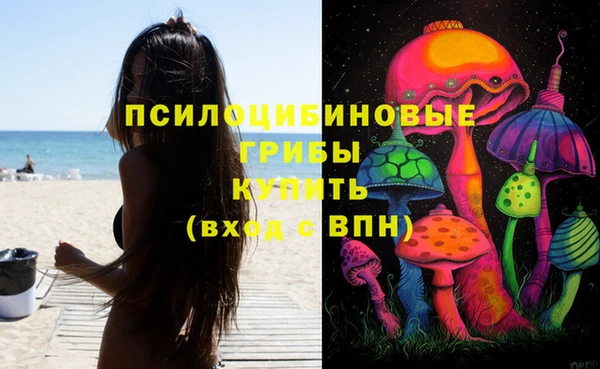 ПСИЛОЦИБИНОВЫЕ ГРИБЫ Алексеевка
