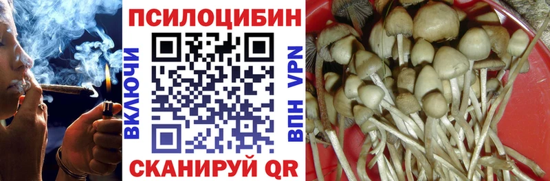 Псилоцибиновые грибы MAGIC MUSHROOMS  сколько стоит  Усмань 